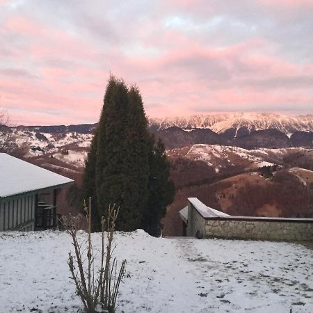 Drumul Carului Villa Moieciu de Jos Zewnętrze zdjęcie