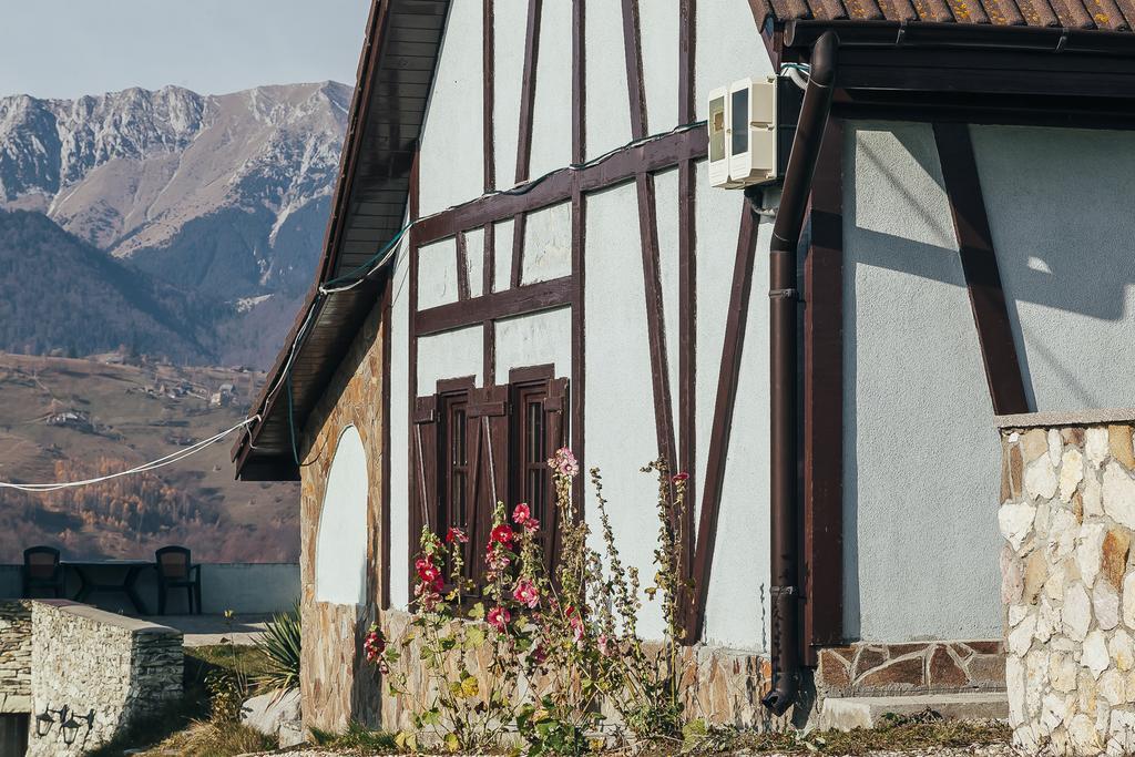 Drumul Carului Villa Moieciu de Jos Zewnętrze zdjęcie