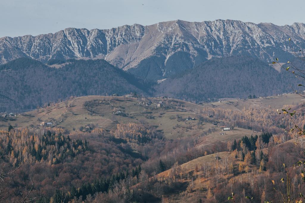 Drumul Carului Villa Moieciu de Jos Pokój zdjęcie
