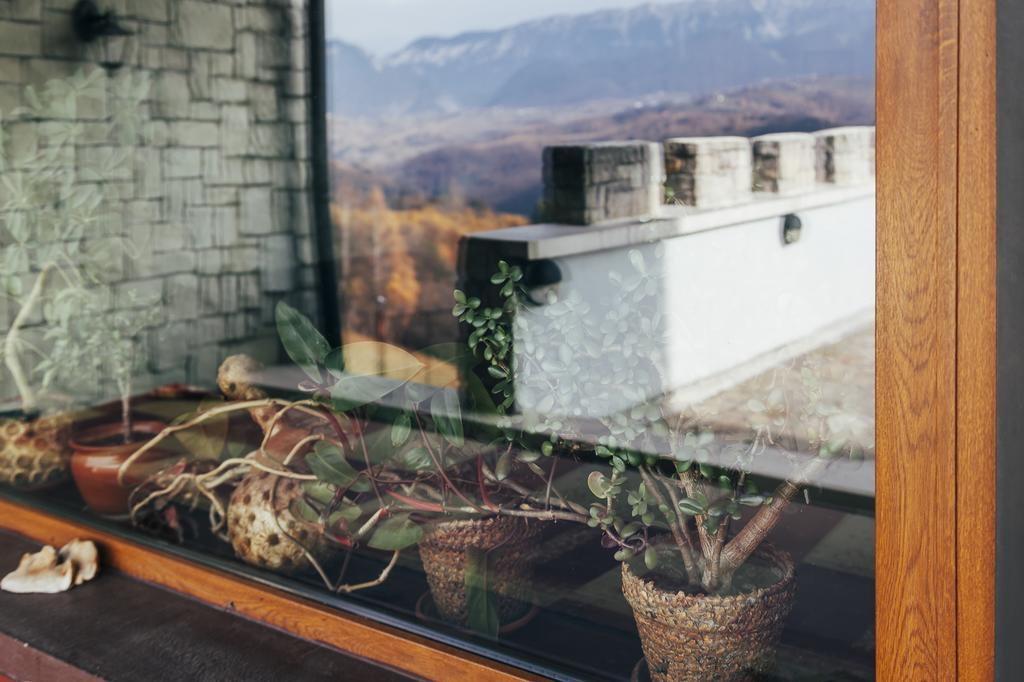 Drumul Carului Villa Moieciu de Jos Zewnętrze zdjęcie