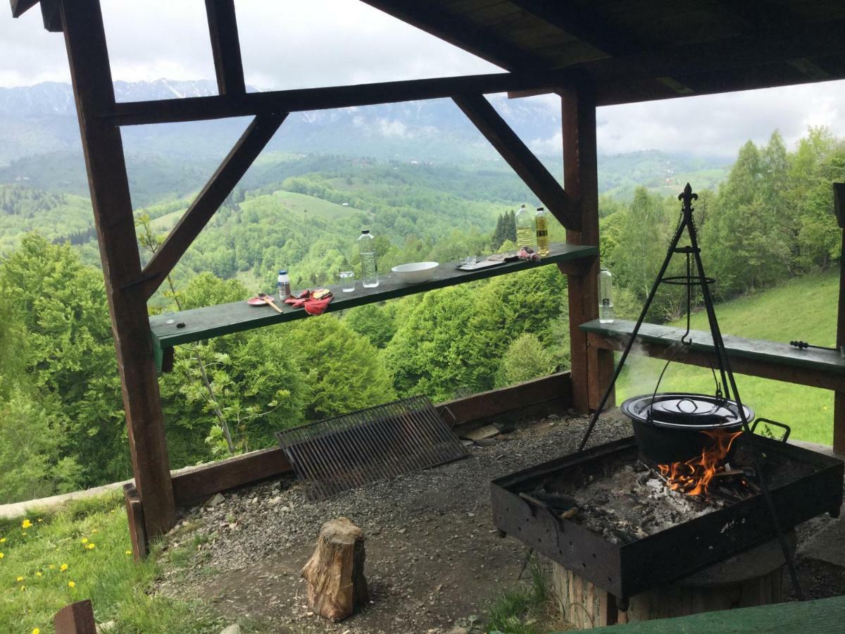 Drumul Carului Villa Moieciu de Jos Zewnętrze zdjęcie