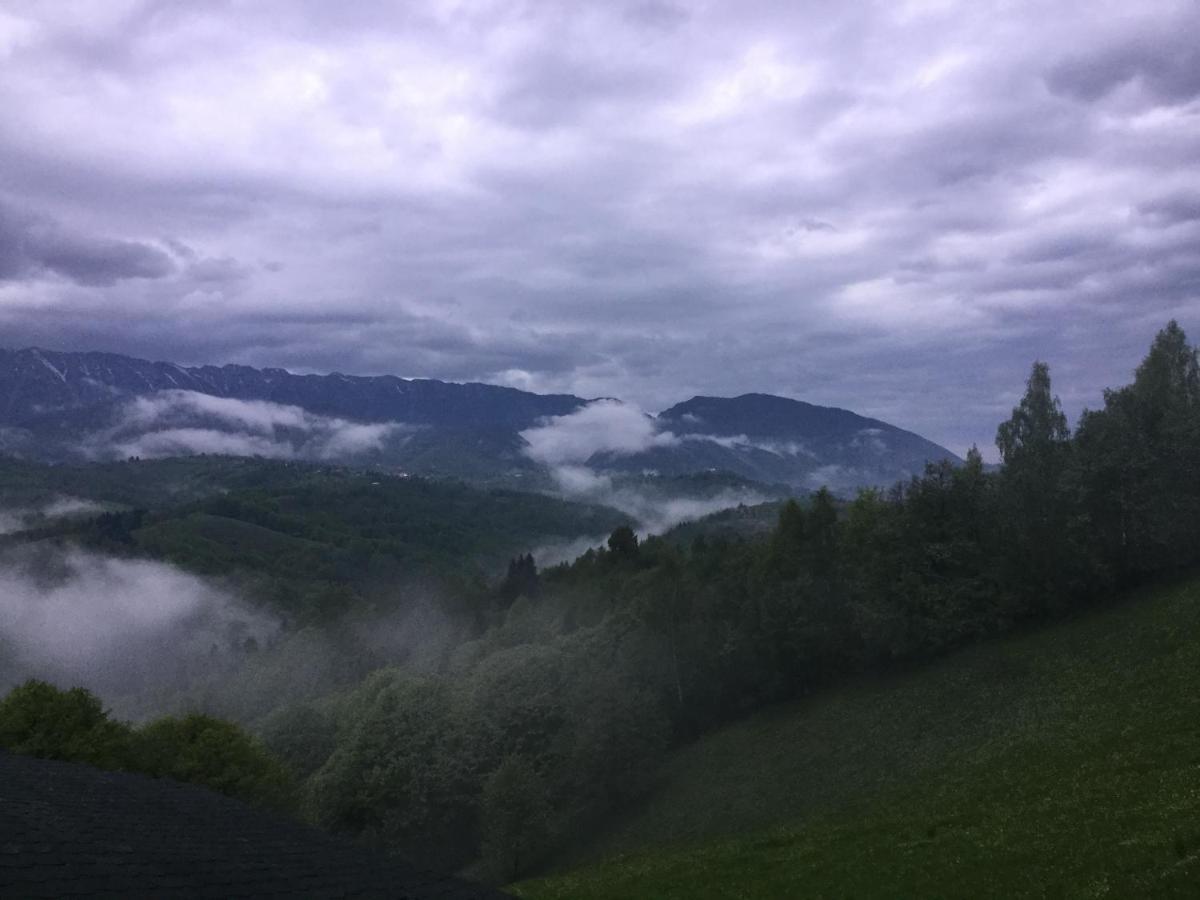 Drumul Carului Villa Moieciu de Jos Zewnętrze zdjęcie